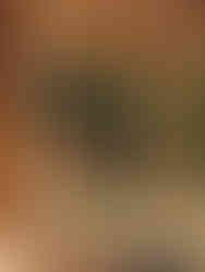 Waar te verblijven Sri Lanka - Accommodaties Sri Lanka - Sigiriya - Liyon rest - Ongekende Weg