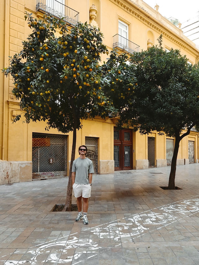 Stedentrip Valencia, Bezienswaardigheden Valencia Spanje, Ongekende Weg