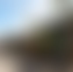 Isla Holbox Mexico, streetart, leukste dingen om te doen, Ongekende Weg