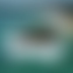 Mirissa, Sri Lanka: de leukste bezienswaardigheden en tips!