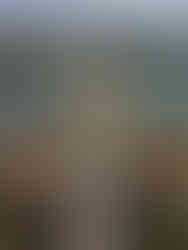 Lotus pond, lotus pond Kaohsiung, tempels, Dragon and Tiger pagodas, Taiwan, Ongekende Weg