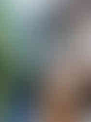 Restaurants in Zadar Kroatië, Ongekende Weg