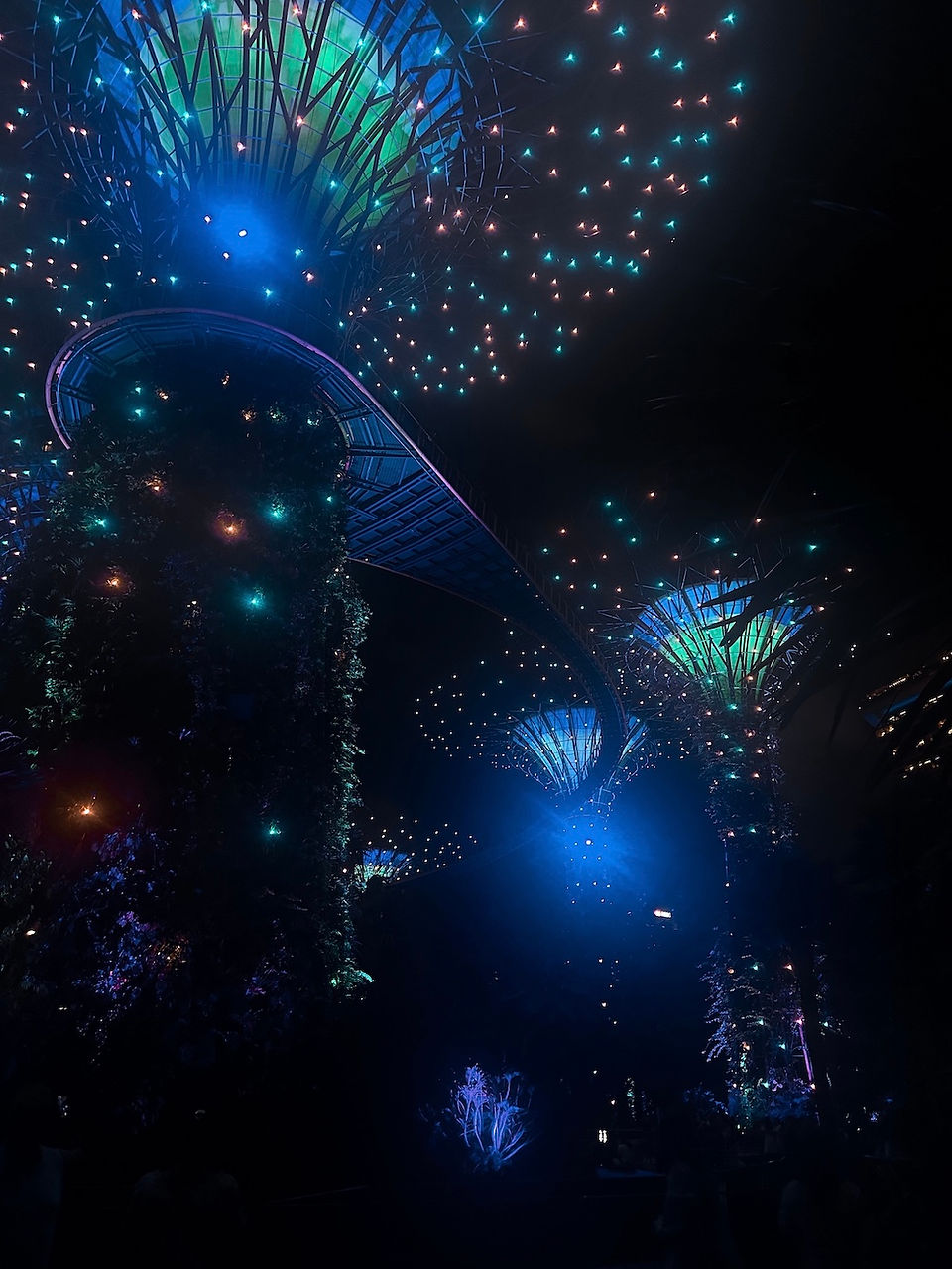Gardens By The Bay - Lichtshow - Singapore - Activiteiten - Ongekende Weg