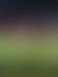 Bali United - Voetbal - Voetbalwedstrijd Bali - Indonesiƫ - Ongekende Weg