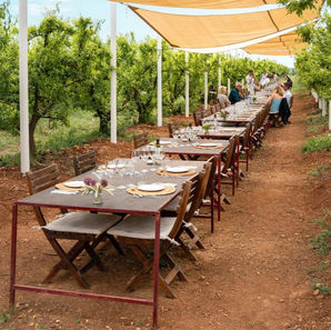 Wat te doen op Mallorca? De leukste tips!
