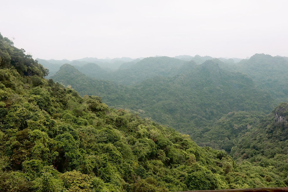 Cat Ba - National Park - Ding Ngu Lam Viewpoint - Vietnam - Ongekende Weg