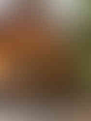 Waar te verblijven Sri Lanka - Accommodaties Sri Lanka - Sigiriya - Liyon rest - Ongekende Weg