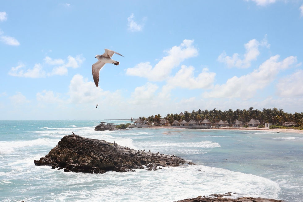 Tulum badplaats Mexico, tips en hotspots, Ongekende Weg