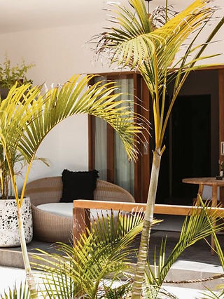 Waar te verblijven op Bali - Accommodaties - Nusa Lembongan - Ohana's