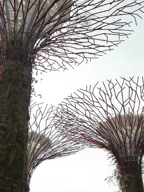 Garden by the Bay is een gratis activiteit in Singapore
