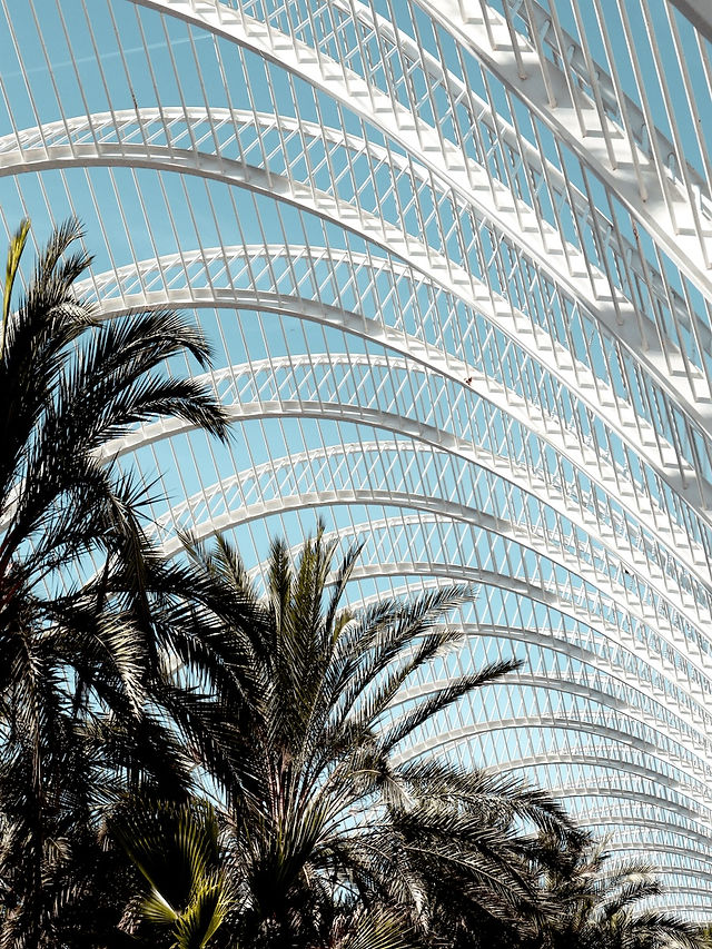 Ciudad de las Artes y las Ciencias, de stad van de wetenschap en kunst Valencia, Oceanografic, Umbracle, Spanje, Ongekende Weg