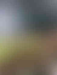 Bali United - Voetbal - Voetbalwedstrijd Bali - Indonesiƫ - Ongekende Weg