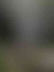 Mooiste watervallen Bali - Munduk waterval - Indonesiƫ - Ongekende Weg