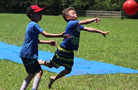 IMG_1556_edited.jpg