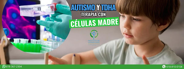 WhatsApp Image 2026-03-04 at 11.03.57 AM.jpeg