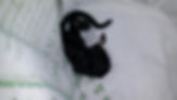 thumbnail-30.jpeg