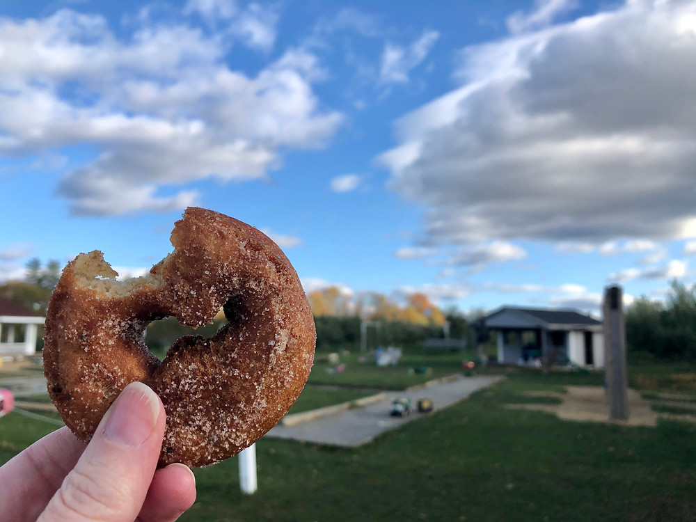apple cider donut