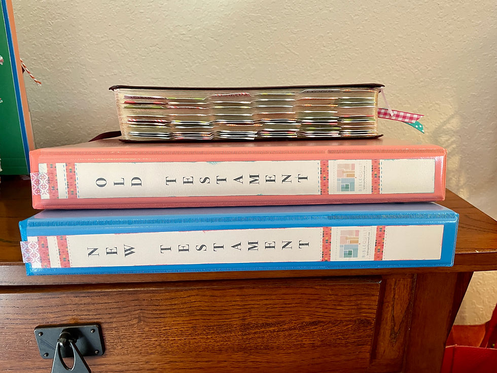 Thumbnail: Binder Labels for Old & New Testament folders