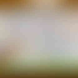 Ruth template, notes in progress