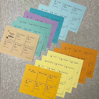 Boos of the Bible flip cards