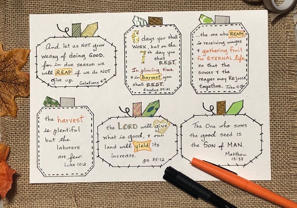 Thumbnail: Pumpkin Patch Combo