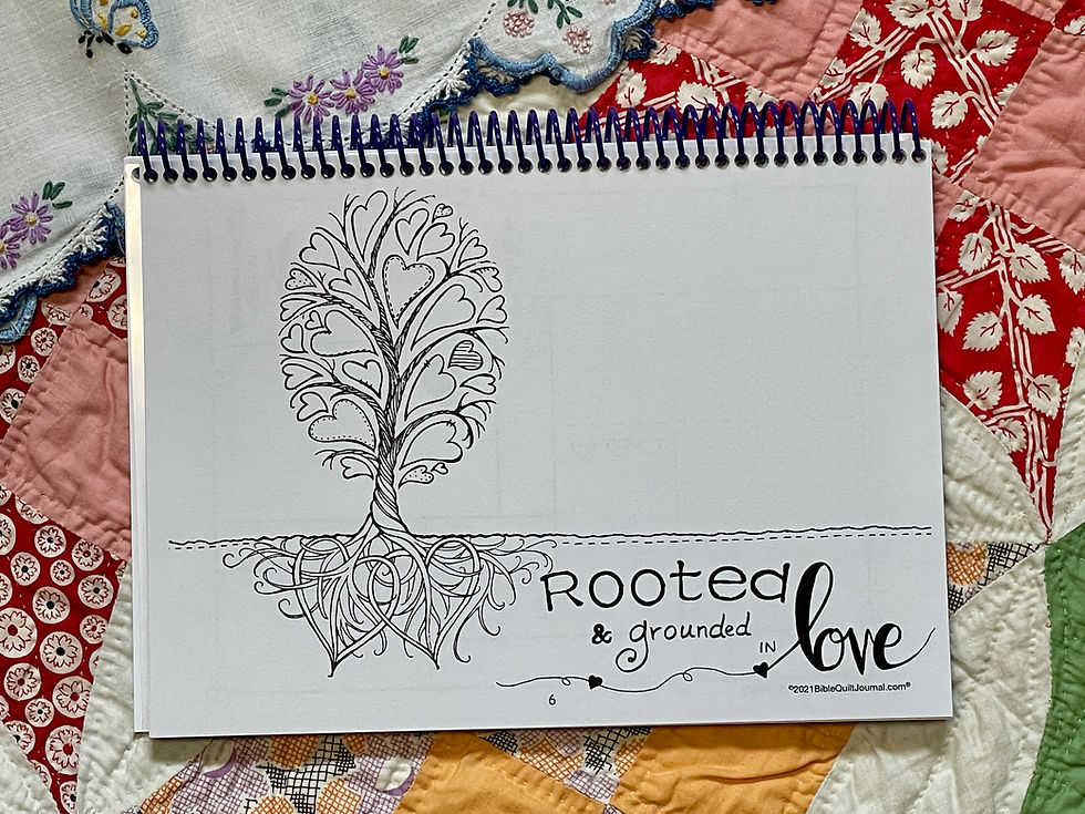 Thumbnail: Bible Quilt® Journal for God's Girls