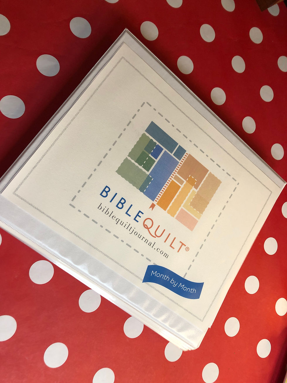 Thumbnail: Printable Monthly Bible Quilt Journal (Leap year version; no theme)