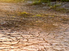 기후 재난 리포트12 ④ 폭염 (2)