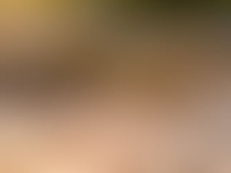 기후 재난 리포트12 ④ 폭염 (2)