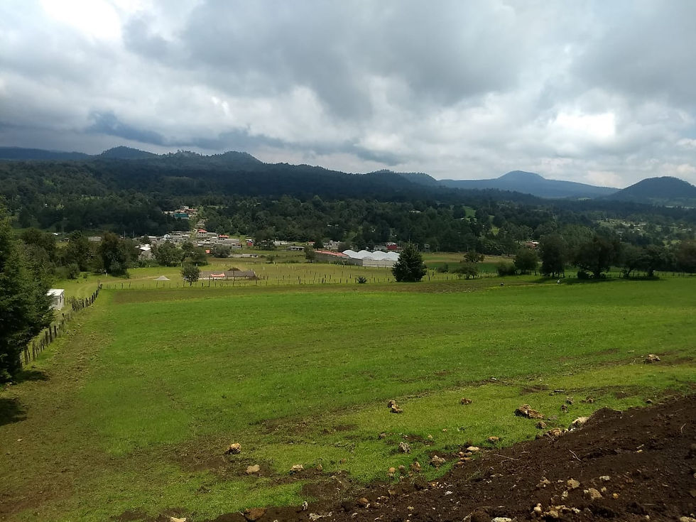 WhatsApp Image 2020-07-09 at 2.39.49 PM.