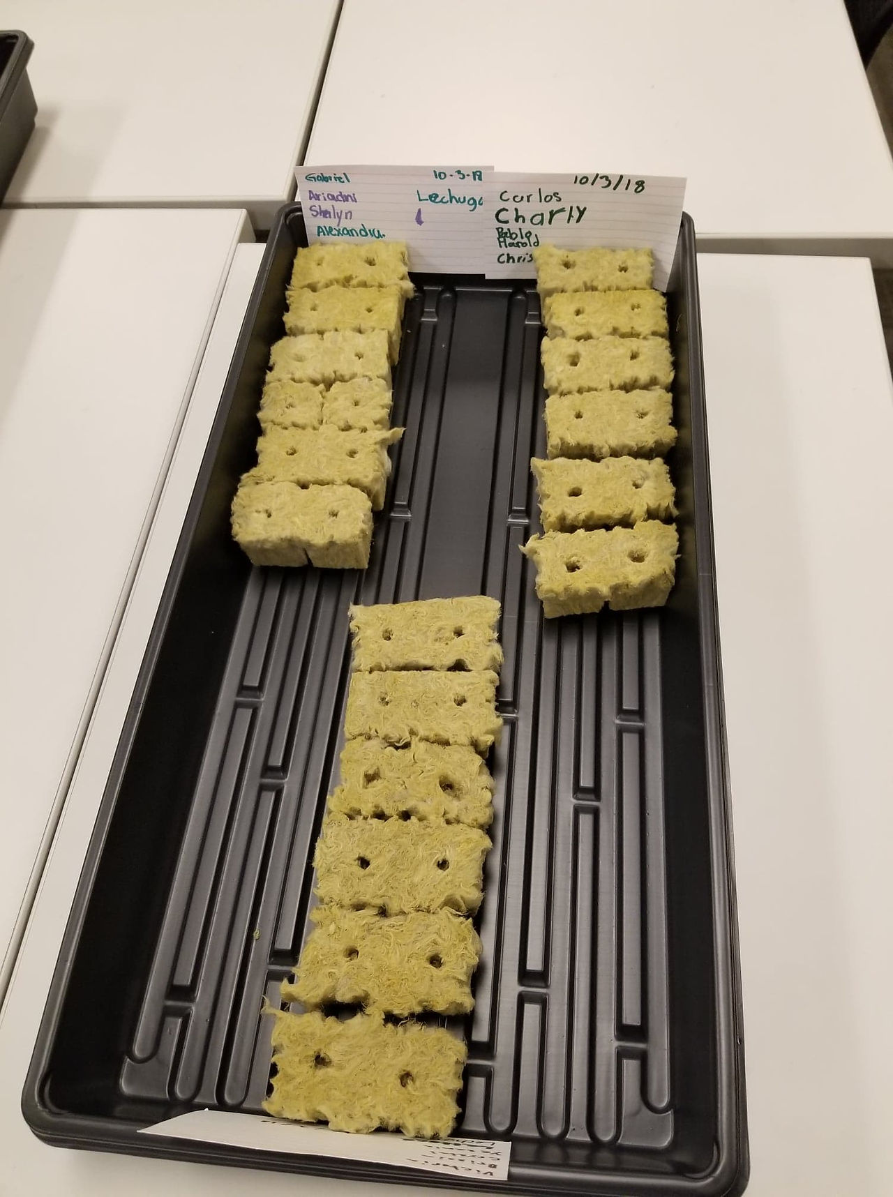 43129112_243544819634015_162812595907067