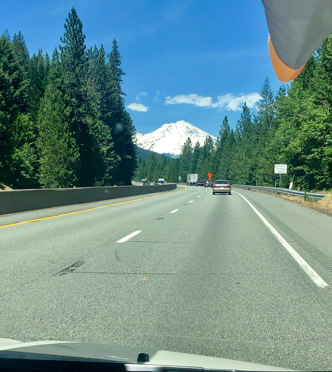 Beginning Our Endless Summer