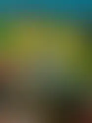 Conheça os benefícios das algas marinhas para o cabelo