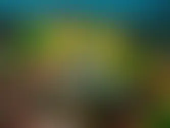 Conheça os benefícios das algas marinhas para o cabelo