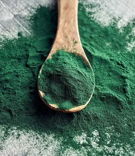 spirulina