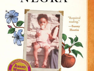 Book cover: American Negra