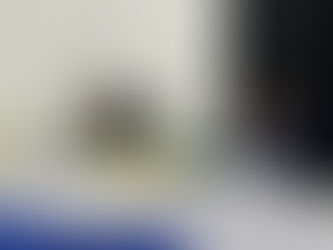 Vereador Altamiro Bispo solicita recuperação de pontes durante a 16ª Sessão Ordinária da Câmara de Epitaciolândia