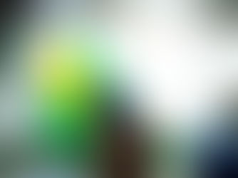 Vereador cobra ação da Prefeitura para limpeza de rua no bairro Satel