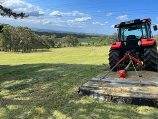 Sydney s Grass Slashing Experts