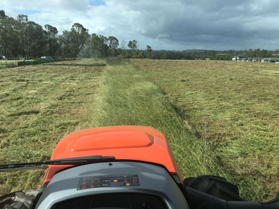 Grass Slashing Near Me
