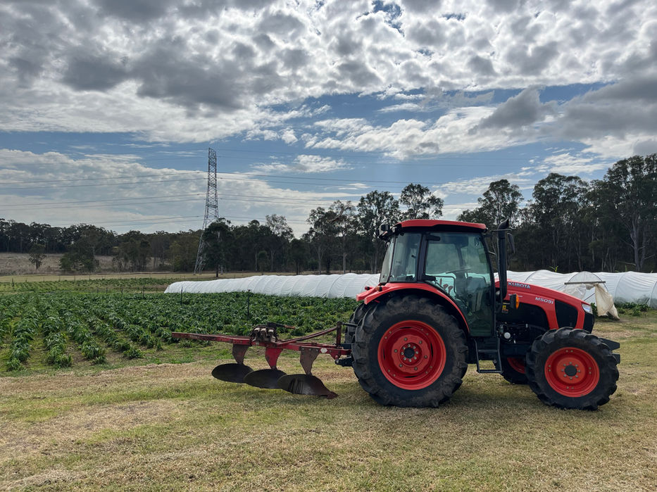 Tractor Garden