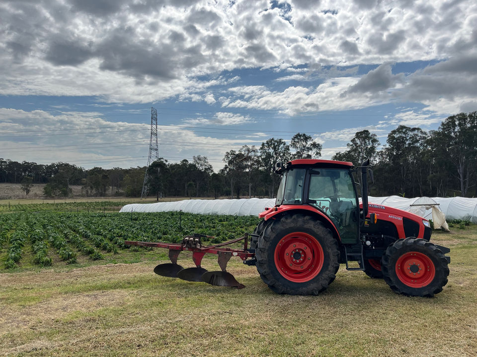 Tractor Garden