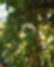 1E339CCD-D642-4FC2-AD5F-5804BC8AD910.jpg
