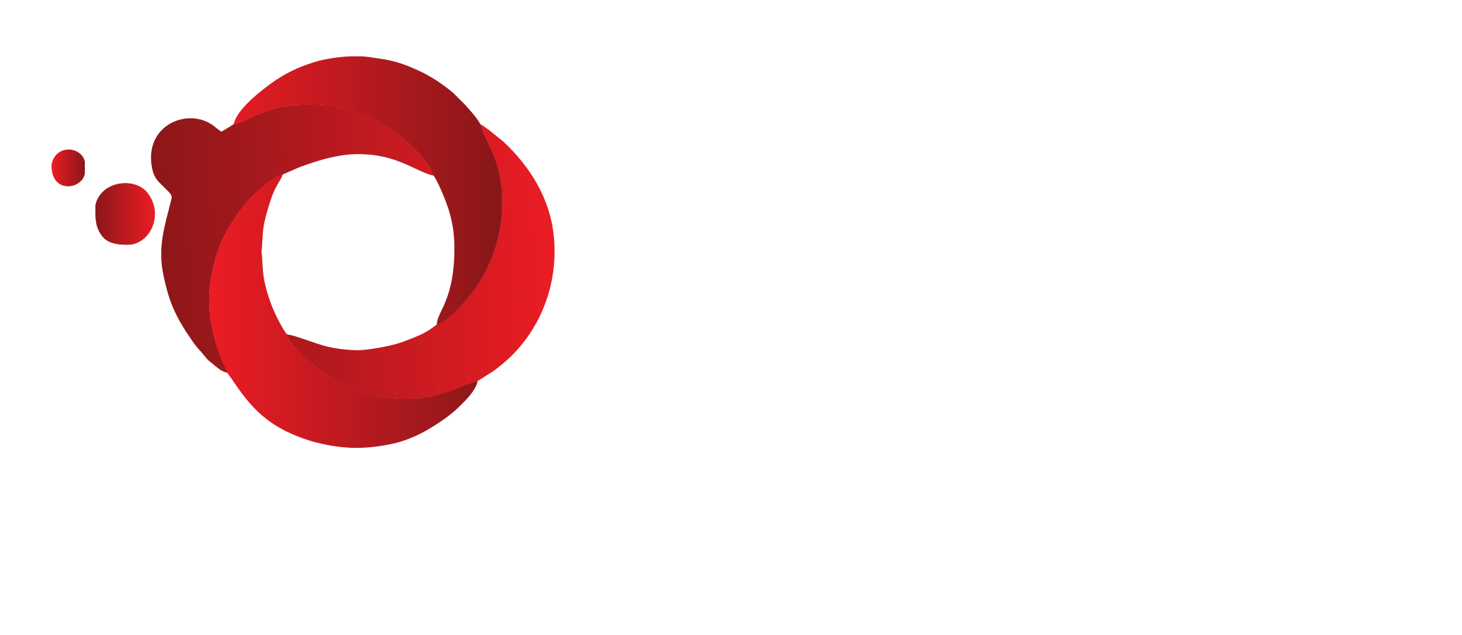 OXIN LOGO light.png
