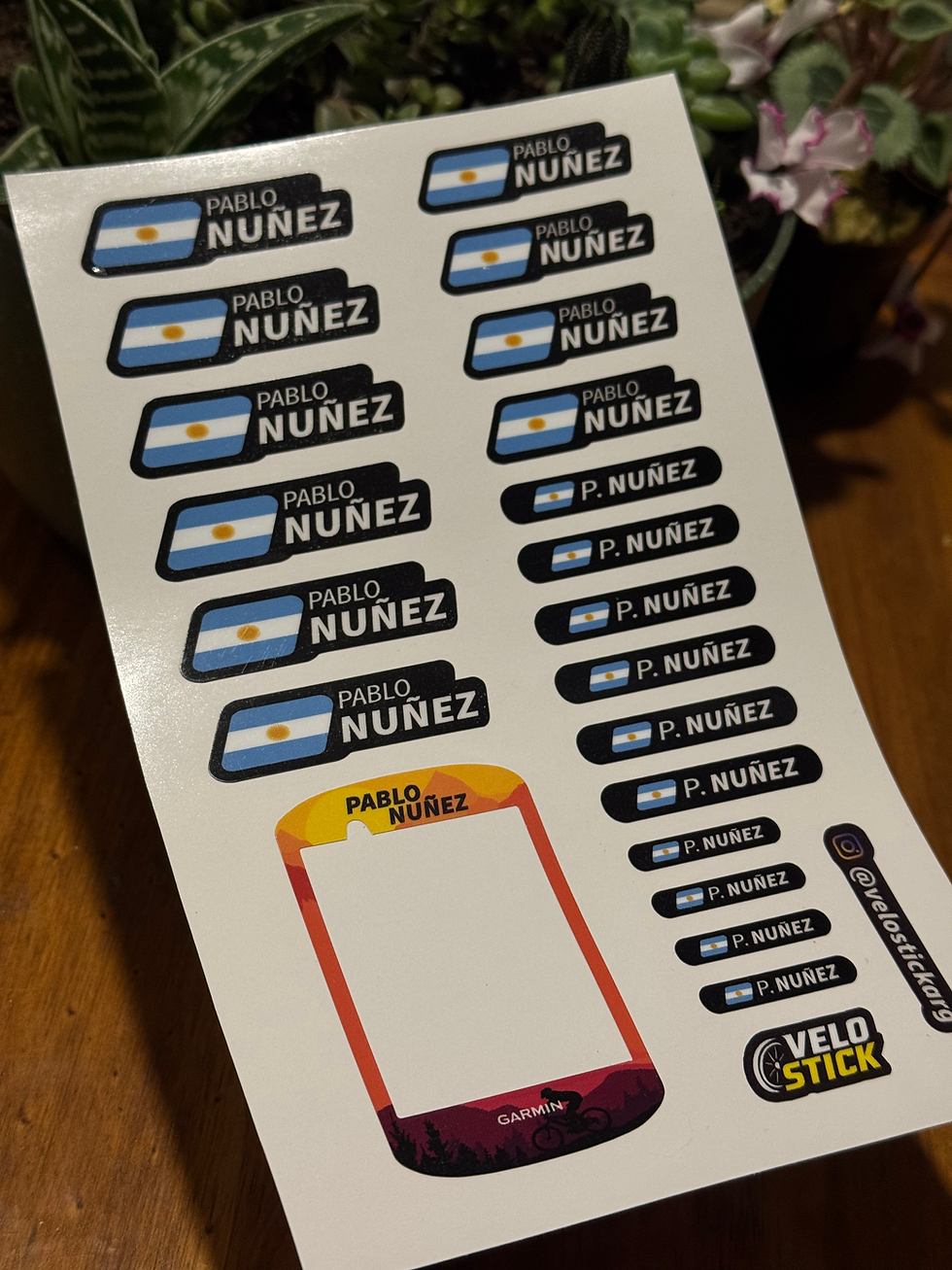 Miniatura: Plancha de calcos con nombres y ciclocomputador