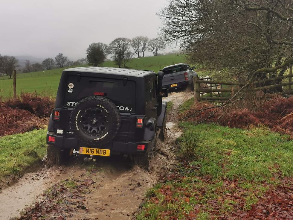Wild Llandovery
