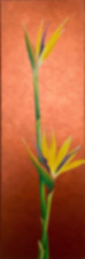 Bird of Paradise IV