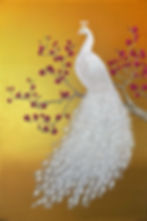 White Peacock and Magnolia