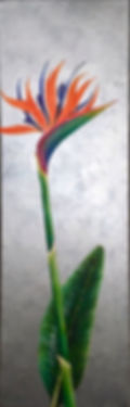Bird of Paradise II