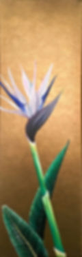 Bird of Paradise I